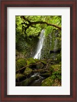 Framed Matai Falls, Catlins, South Otago, South Island, New Zealand