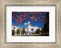 Framed Memorial Clock Tower, Seymour Square, Marlborough, South Island, New Zealand (horizontal)