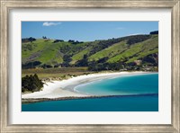 Framed Otago Harbor and Aramoana Beach, Dunedin, Otago, New Zealand