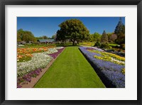 Framed Pollard Park, Blenheim, Marlborough, New Zealand