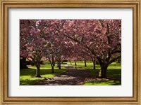 Framed Spring, Ashburton Domain, Mid-Canterbury, New Zealand