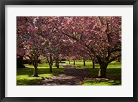 Framed Spring, Ashburton Domain, Mid-Canterbury, New Zealand