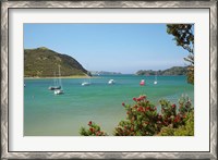 Framed Yachts moored in Waipiro Bay, North Island, New Zealand