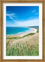 Framed New Zealand, South Island, Catlins, Tautuku Bay