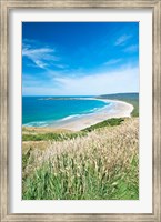 Framed New Zealand, South Island, Catlins, Tautuku Bay