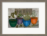 Framed Potted Herbs