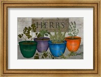 Framed Potted Herbs