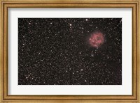 Framed Cocoon Nebula