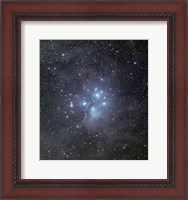 Framed Pleiades