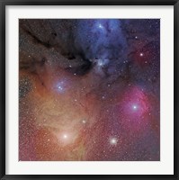 Framed Rho Ophiuchus