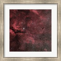 Framed Sadr Region with the Crescent Nebula