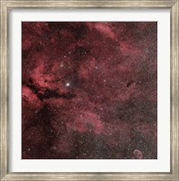 Framed Sadr Region with the Crescent Nebula
