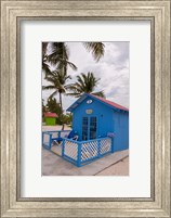 Framed Bahamas, Eleuthera, Princess Cays, beach bungalow
