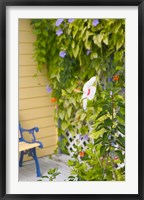 Framed Beach House Ivy, Loyalist Cays, Bahamas, Caribbean