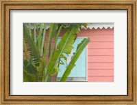 Framed Palm and Pineapple Shutters Detail, Great Abaco Island, Bahamas