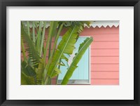 Framed Palm and Pineapple Shutters Detail, Great Abaco Island, Bahamas