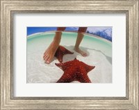 Framed Starfish and Feet, Bahamas, Caribbean