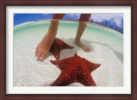 Framed Starfish and Feet, Bahamas, Caribbean
