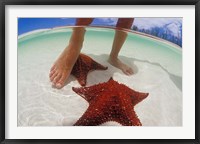 Framed Starfish and Feet, Bahamas, Caribbean