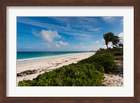 Framed Bahamas, Eleuthera, Harbor Island, Pink Sand Beach