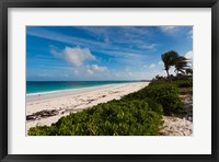 Framed Bahamas, Eleuthera, Harbor Island, Pink Sand Beach
