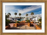 Framed Bahamas, New Providence, Nassau, Paradise Island