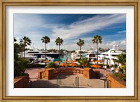 Framed Bahamas, New Providence, Nassau, Paradise Island