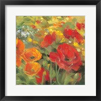 Framed 'Oriental Poppy Field I' border=