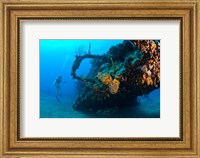 Framed Scuba diver, RMS Rhone wreck, British Virgin Isl