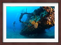 Framed Scuba diver, RMS Rhone wreck, British Virgin Isl