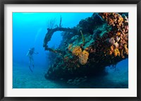 Framed Scuba diver, RMS Rhone wreck, British Virgin Isl