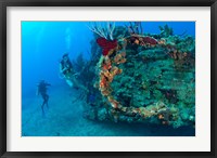 Framed Wreck of the RMS Rhone, Coast of Salt Island, near Tortola, British Virgin Islands