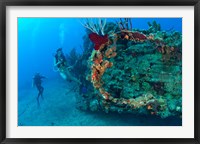 Framed Wreck of the RMS Rhone, Coast of Salt Island, near Tortola, British Virgin Islands