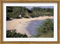 Framed View of Horseshoe Bay, Bermuda, Caribbean