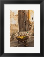 Framed Bananas in wheelbarrow, Havana, Cuba
