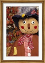 Framed Stuffed Scarecrow on Display at Halloween, Washington