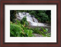 Framed Rainforest waterfall, Serra da Bocaina NP, Parati, Brazil (horizontal)