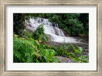 Framed Rainforest waterfall, Serra da Bocaina NP, Parati, Brazil (horizontal)