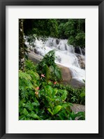 Framed Rainforest waterfall, Serra da Bocaina NP, Parati, Brazil (vertical)