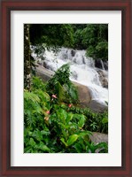 Framed Rainforest waterfall, Serra da Bocaina NP, Parati, Brazil (vertical)