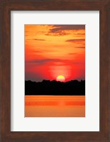 Framed Amazon Jungle, Brazil, Sunset