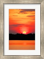 Framed Amazon Jungle, Brazil, Sunset