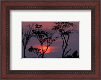 Framed Amazonia Sunset