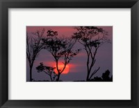 Framed Amazonia Sunset