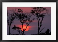 Framed Amazonia Sunset
