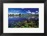 Framed Waterways in Pantanal, Brazil