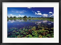 Framed Waterways in Pantanal, Brazil