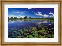 Framed Waterways in Pantanal, Brazil
