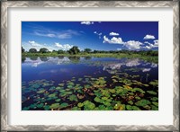 Framed Waterways in Pantanal, Brazil