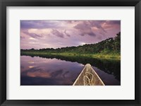 Framed Paddling a dugout canoe, Amazon basin, Ecuador